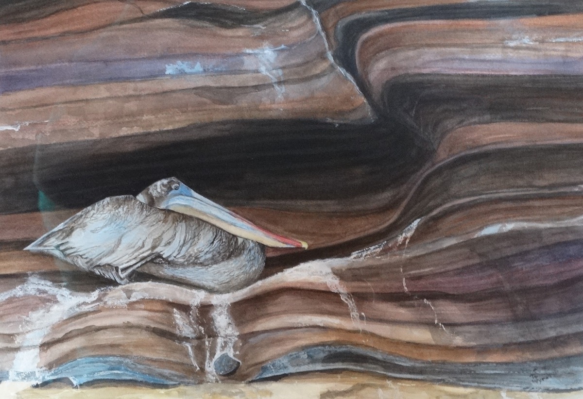 Pelican sitting on a sedimentary rock formation